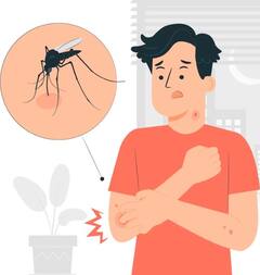 Dengue: ਡੇਂਗੂ ਦਾ ਸ਼ਿਕਾਰ ਹੋ ਰਹੇ ਨੇ ਬੱਚੇ, ਜਾਣੋ ਇਸ ਤੋਂ ਬਚਣ ਦੇ ਸਹੀ ਤਰੀਕੇ