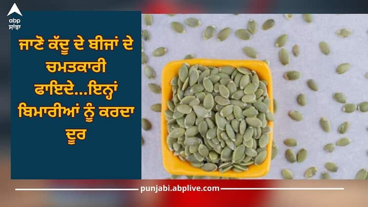 Know miraculous benefits of pumpkin seeds, helpful in controlling these diseases Health News: ਜਾਣੋ ਕੱਦੂ ਦੇ ਬੀਜਾਂ ਦੇ ਚਮਤਕਾਰੀ ਫਾਇਦੇ, ਇਨ੍ਹਾਂ ਬਿਮਾਰੀਆਂ ਨੂੰ ਕੰਟਰੋਲ ਕਰਨ 'ਚ ਮਦਦਗਾਰ