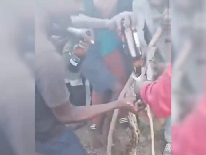 South Africa Drunk Youth Group Forced Drinking Alcohol Python Snake सांप को पकड़कर युवकों ने जबरन पिला दी शराब की पूरी बोतल, VIDEO देख भड़का लोगों का गुस्सा