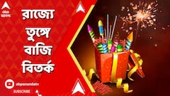 রাজ্যে বাজির শব্দমাত্রার ঊর্ধ্বসীমা বাড়ল! কী বলছেন রাজনীতিক থেকে বিশেষজ্ঞরা?