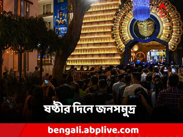 Durga Pujo: কলকাতা থেকে জেলা নানা জায়গায় চলছে দুর্গাপুজো।