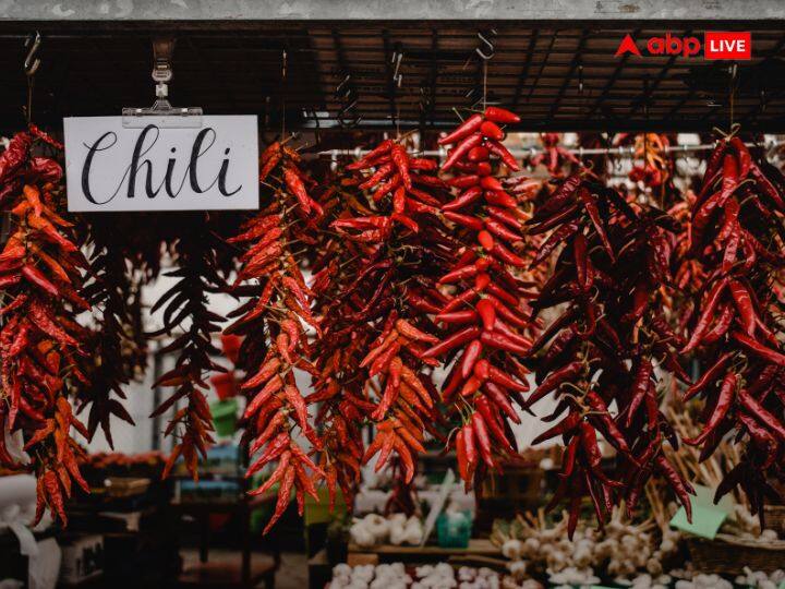 मिर्च पक्षी भी खाते हैं, लेकिन उनकी बॉडी में अलग रिसेप्टर्स होते हैं, जो कैप्साइसिन को महसूस नहीं कर पाते हैं. यही वजह है कि उन्हें मिर्च का स्वाद पता नहीं चल पाता है, जिसके चलते मिर्च पक्षियों को तीखा नहीं लगता है.