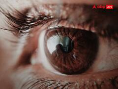 iPhone 15 की कैमरा क्वालिटी आज भी इंसान के आंख से कम, जानिए कितने मेगापिक्सल की होती है आंखें