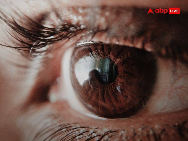 इंसान के शरीर में आंखें बेहद खास अंग हैं. यही हैं जिनकी वजह से हम दुनिया को देख पा रहे हैं. हमें रंगों का अहसास हो रहा है. अगर आप आंख को कैमरे की क्षमता के हिसाब से दखें तो यह 576 मेगापिक्सल तक का दृश्य हमें दिखा सकता है.