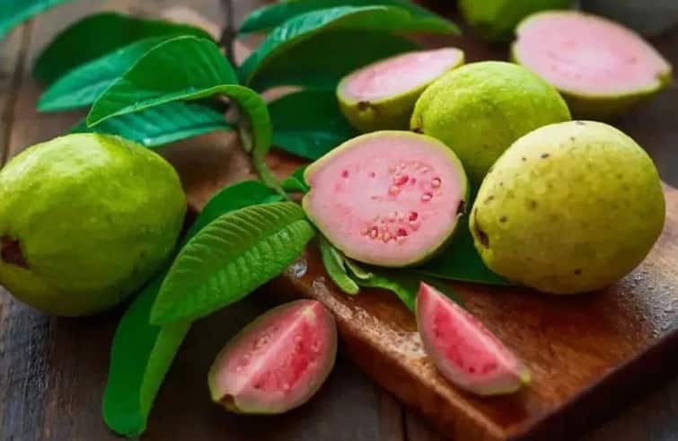 Agriculture news taiwami pink guava rajasthan farmer likhmaram meghwal  Pink Guava : वाळवंटात फुलवलं नंदनवन, तैवानी गुलाबी पेरुंच्या लागवडीतून लाखोंचा नफा