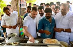 Rahul Gandhi : அனல் பறந்த தேர்தல் பிரச்சாரம்..சுட சுட தோசை சுட்ட ராகுல் காந்தி!