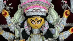 Durga Puja 2023: লাঠিখেলা এই পুজোর অঙ্গ! ১০৫ বছরে পা বাগবাজার সর্বজনীনের
