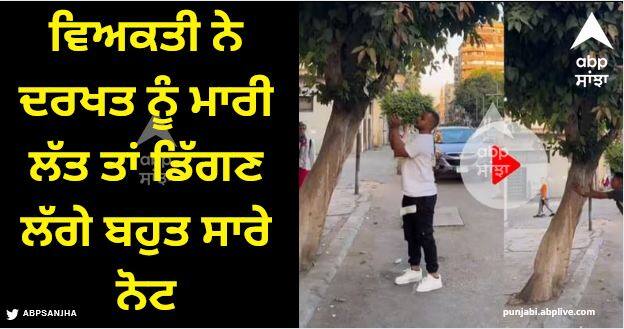 money falling from tree after man kicks watch viral video Viral Video: ਵਿਅਕਤੀ ਨੇ ਦਰਖਤ ਨੂੰ ਮਾਰੀ ਲੱਤ ਤਾਂ ਡਿੱਗਣ ਲੱਗੇ ਬਹੁਤ ਸਾਰੇ ਨੋਟ, ਆਸ-ਪਾਸ ਖੜੇ ਲੋਕ ਦੇਖ ਰਹਿ ਗਏ ਹੈਰਾਨ, ਵੀਡੀਓ ਹੋਈ ਵਾਇਰਲ