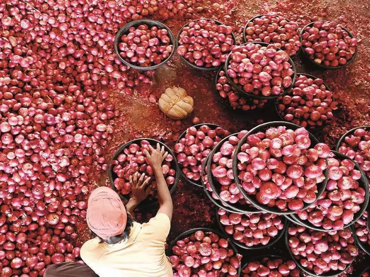 Agriculture News Farmers Onion price increased by 50 percent in a week Onion Price Hike: आठवडाभरात कांद्याच्या दरात 50 टक्क्यांची वाढ, सरकारनं हस्तक्षेप करुनही दरवाढ कायम