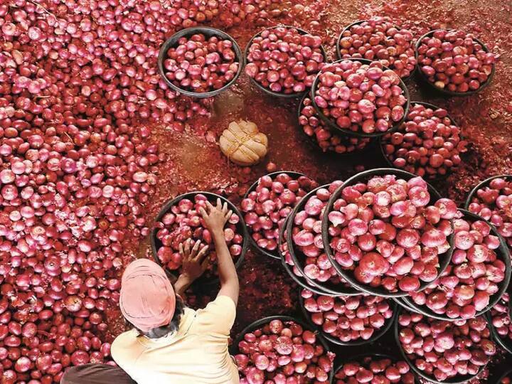 Onion Prices Rise Again Ahead Of Festive Season Onion Price: పండుగకు ముందే సామాన్యులకు షాక్ - ఘాటెక్కిన ఉల్లి