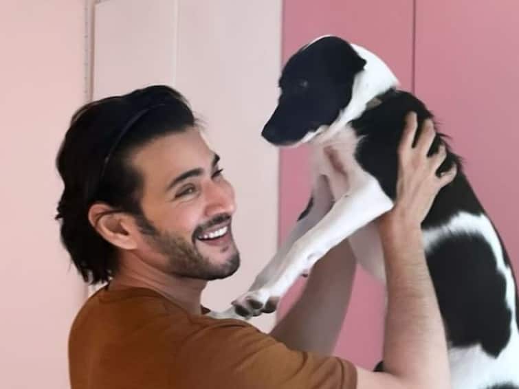 Mahesh Babu Unwinds On A Sunday In ‘Best Way’ With His Pet Dog; See