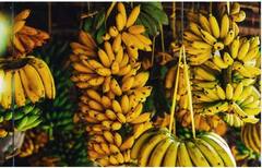 Banana Benifits: ਸਿਹਤ ਲਈ ਬੇਹੱਦ ਫ਼ਾਇਦੇਮੰਦ ਕੇਲਾ, ਵਿਟਾਮਿਨ, ਪ੍ਰੋਟੀਨ ਤੇ ਪੋਸ਼ਕ ਤੱਤਾਂ ਨਾਲ ਹੁੰਦੈ ਭਰਪੂਰ