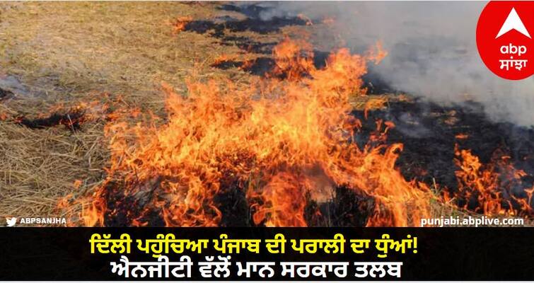 The smoke of the straw of Punjab reached Delhi Bhagwant Maan Sarkar notice from NGT know details Stubble Burning: ਦਿੱਲੀ ਪਹੁੰਚਿਆ ਪੰਜਾਬ ਦੀ ਪਰਾਲੀ ਦਾ ਧੁੰਆਂ! ਐਨਜੀਟੀ ਵੱਲੋਂ ਭਗਵੰਤ ਮਾਨ ਸਰਕਾਰ ਤਲਬ