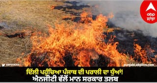 Stubble Burning: ਦਿੱਲੀ ਪਹੁੰਚਿਆ ਪੰਜਾਬ ਦੀ ਪਰਾਲੀ ਦਾ ਧੁੰਆਂ! ਐਨਜੀਟੀ ਵੱਲੋਂ ਭਗਵੰਤ ਮਾਨ ਸਰਕਾਰ ਤਲਬ