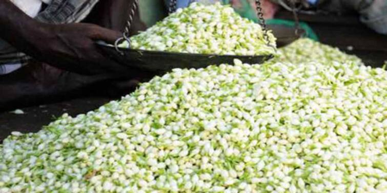 Ayudha Pooja 2023: Selling jasmine flower at Pudukottai for Rs 1000kg Ayudha Pooja 2023: கிலோ ரூ 1000 -ஐ தொட்ட மல்லிகை பூ.. புதுக்கோட்டையில் உச்சத்தில் பூக்களின் விலை..!