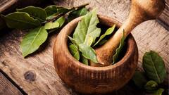 Bay Leaf Benefits: ਸਬਜ਼ੀਆਂ 'ਚ ਰੋਜ਼ਾਨਾ ਲਾਓ ਇੱਕ ਤੇਜ਼ ਪੱਤੇ ਦਾ ਤੜਕਾ, ਕਦੇ ਨਹੀਂ ਹੋਵੇਗੀ ਇਹ ਬਿਮਾਰੀ