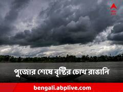 পুজোর শেষ লগ্নে ঝড়-বৃষ্টি বঙ্গে? কোন কোন জেলায় সতর্কতা