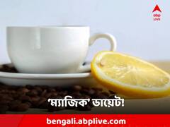 Weight Loss Diet: পুজোয় টানা বাইরে খাওয়ার প্ল্যান, এটি খেলে ওজন ঝরবে ম্যাজিকের মতো