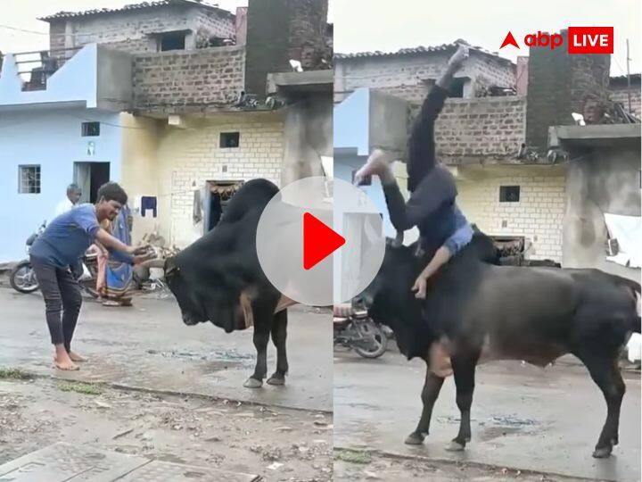 सांड से उलझ रहा था नशे में धुत शख्स, गुस्साए जानवर ने एक झटके में ही हवा में उछाला शरीर, देखें Video Weird News Hindi Drunk Man Fights Bull Tossed Man in Air Viral Video सांड से उलझ रहा था नशे में धुत शख्स, गुस्साए जानवर ने एक झटके में ही हवा में उछाला शरीर, देखें Video