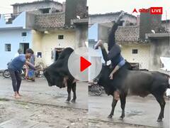 सांड से उलझ रहा था नशे में धुत शख्स, गुस्साए जानवर ने एक झटके में ही हवा में उछाला शरीर, देखें Video