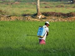 ਜੇਕਰ ਕਿਸਾਨ ਭਰਾ ਚਾਹੁੰਦੇ ਹਨ 2000 ਰੁਪਏ ਤਾਂ ਤੁਰੰਤ ਪੂਰਾ ਕਰੋ ਆਹ ਕੰਮ , ਨਹੀਂ ਤਾਂ ਹੋਵੇਗੀ ਮੁਸੀਬਤ !