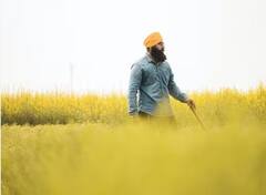 ਜੇਕਰ ਕਿਸਾਨ ਭਰਾ ਚਾਹੁੰਦੇ ਹਨ 2000 ਰੁਪਏ ਤਾਂ ਤੁਰੰਤ ਪੂਰਾ ਕਰੋ ਆਹ ਕੰਮ , ਨਹੀਂ ਤਾਂ ਹੋਵੇਗੀ ਮੁਸੀਬਤ !