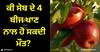Apple Seeds: ਕੀ ਸੇਬ ਦੇ 4 ਬੀਜ ਖਾਣ ਨਾਲ ਹੋ ਸਕਦੀ ਮੌਤ? ਜਾਣੋ ਅਜਿਹਾ ਕਿਉਂ ਕਿਹਾ ਜਾਂਦਾ