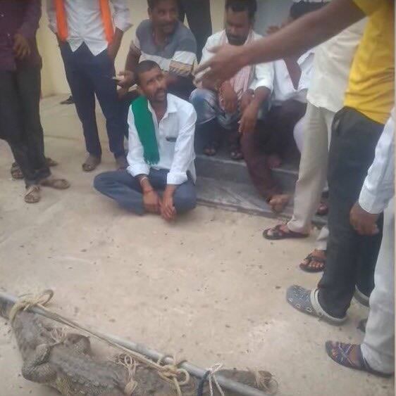 Farmers Brought Crocodile  to Electricity Office | కరెంట్ ఆఫీస్ లోకి మొసలిని వదిలిన రైతులు | ABP Desam