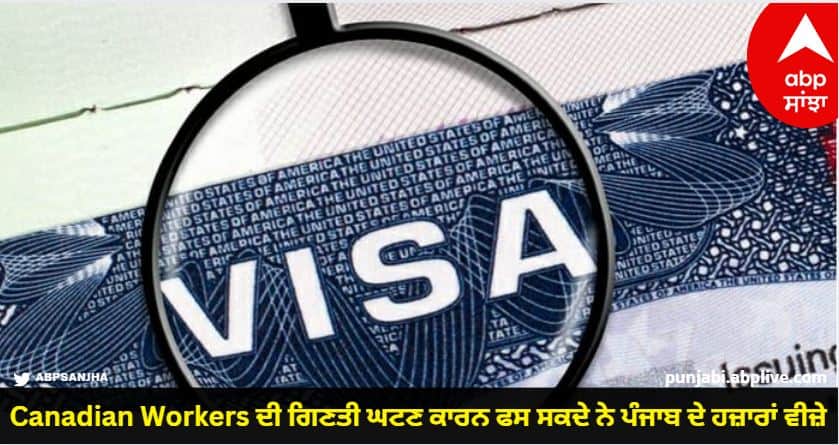 Thousands of visas from Punjab may get stuck due to decrease in the number of Canadian workers know more details Canadian Workers ਦੀ ਗਿਣਤੀ ਘਟਣ ਕਾਰਨ ਫਸ ਸਕਦੇ ਨੇ ਪੰਜਾਬ ਦੇ ਹਜ਼ਾਰਾਂ ਵੀਜ਼ੇ,  ਚੰਡੀਗੜ੍ਹ 'ਚ Manual ਕੰਮ ਬੰਦ