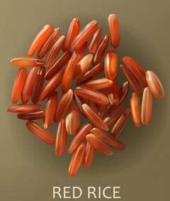 Health News: ਅੱਜ ਜਾਣੋ ਲਾਲ ਚੌਲਾਂ ਬਾਰੇ...ਸਰੀਰ ਲਈ ਜ਼ਿਆਦਾ ਫਾਇਦੇਮੰਦ