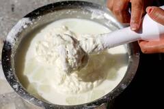 Health Tips : दररोज दही खाणं आरोग्यासाठी हनिकारक? तज्ज्ञ काय सांगतात?