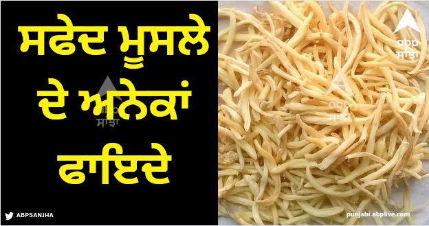 Health news Apart from male strength, there are many benefits of white muesli Benefits of Safed Musli: ਬਹੁਤੇ ਲੋਕ ਨਹੀਂ ਜਾਣਦੇ, ਮਰਦਾਨਾ ਤਾਕਤ ਤੋਂ ਇਲਾਵਾ ਵੀ ਸਫੇਦ ਮੂਸਲੇ ਦੇ ਅਨੇਕਾਂ ਫਾਇਦੇ