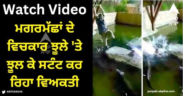 a man was doing stunts by swinging on a swing among crocodiles then he fell into the water Viral Video: ਮਗਰਮੱਛਾਂ ਦੇ ਵਿਚਕਾਰ ਝੂਲੇ 'ਤੇ ਝੂਲ ਕੇ ਸਟੰਟ ਕਰ ਰਿਹਾ ਵਿਅਕਤੀ, ਫਿਰ ਉਹ ਪਾਣੀ ਵਿੱਚ ਡਿੱਗਿਆ, ਫਿਰ...