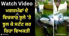 Viral Video: ਮਗਰਮੱਛਾਂ ਦੇ ਵਿਚਕਾਰ ਝੂਲੇ 'ਤੇ ਝੂਲ ਕੇ ਸਟੰਟ ਕਰ ਰਿਹਾ ਵਿਅਕਤੀ, ਫਿਰ ਉਹ ਪਾਣੀ ਵਿੱਚ ਡਿੱਗਿਆ, ਫਿਰ...