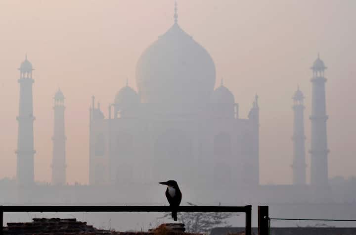 तसंच नुकतंच चांगल्या वातावरणासाठी ओळखल जाणाऱ्या पुणे शहराने दिल्ली आणि मुंबईला हवेच्या गुणवत्ताबाबत मागे टाकलं आहे. (Photo Credit : PTI)