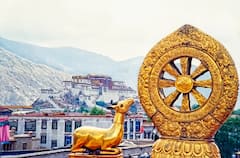 Not Just IND vs NZ World Cup Match In Dharamshala; 5 Reasons To Extend Your Visit To This Hill Station