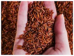 वाइट, ब्राउन या रेड राइस कौन सा अपनी डाइट में करें शामिल, जानें