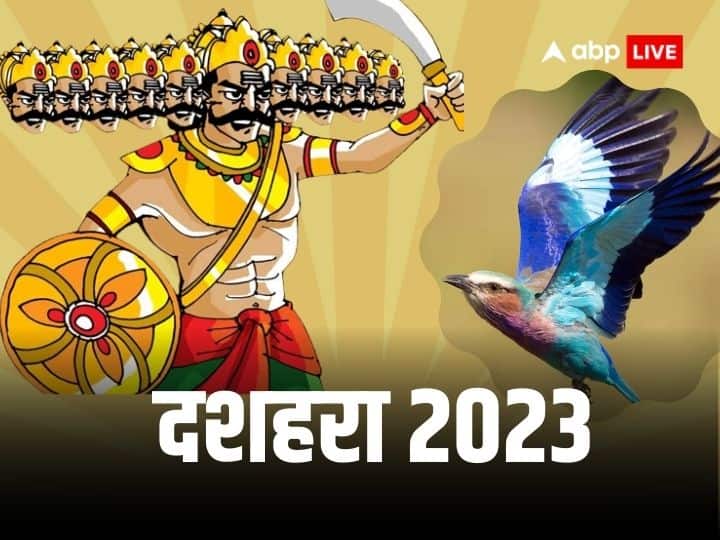 Dussehra 2023 neelkanth bird sight in vijayadashami good luck and happiness come in life Dussehra 2023: दशहरे के दिन हो जाए इस पक्षी के दुर्लभ दर्शन, तो समझिए बुरे दिनों का हो गया अंत