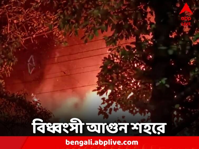 Devastating house fire on Canal East Road in Ultadanga Kolkata Fire: পুজোর শহরে অগ্নিকাণ্ড, ঘটনাস্থলে দমকলের ৫টি ইঞ্জিন