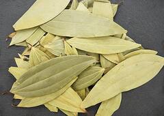 Bay Leaf Benefits: ਸਬਜ਼ੀਆਂ 'ਚ ਰੋਜ਼ਾਨਾ ਲਾਓ ਇੱਕ ਤੇਜ਼ ਪੱਤੇ ਦਾ ਤੜਕਾ, ਕਦੇ ਨਹੀਂ ਹੋਵੇਗੀ ਇਹ ਬਿਮਾਰੀ