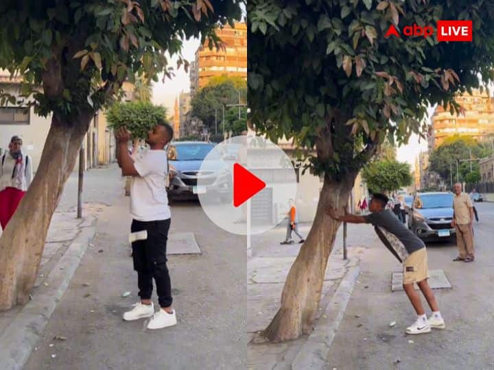Weird News Hindi Money Falling From Tree After Man Kicks Watch Viral Video शख्स ने पेड़ को मारी लात...तो दनादन गिरने लगे ढेर सारे 'नोट', आसपास खड़े लोग देखकर रह गए हैरान, वायरल हुआ ये VIDEO