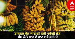 Banana Benifits: ਡਾਕਟਰ ਕੋਲ ਜਾਣ ਦੀ ਨਹੀੰ ਪਏਗੀ ਲੋੜ, ਬੱਸ ਕੇਲੇ ਖਾਣ ਦੇ ਜਾਣ ਲਵੋ ਫਾਇਦੇ