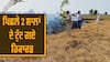 Stubble Burning Case: ਸਰਕਾਰ ਦਾ ਐਕਸ਼ਨ ਪਲਾਨ ਆ ਗਿਆ ਕੰਮ, ਕਿਸਾਨ ਹੋਣ ਲੱਗੇ ਜਾਗਰੂਕ, ਪਿਛਲੇ 2 ਸਾਲਾਂ ਦੇ ਟੁੱਟ ਗਏ ਰਿਕਾਰਡ