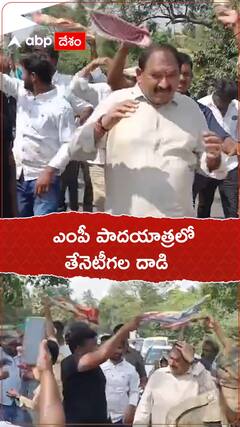 ఏలూరులో ఎంపీ కోటగిరి శ్రీధర్ పాదయాత్రలో తేనెటీగల దాడి