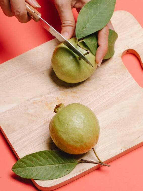 अमरूद के पत्तों में अनेक गुण पाए जाते हैं, कैसे करें सेवन