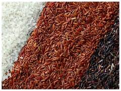 Health Tips : पांढरा, तपकिरी की लाल? निरोगी आणि हेल्दी राहण्यासाठी कोणता तांदूळ फायदेशीर? वाचा सविस्तर