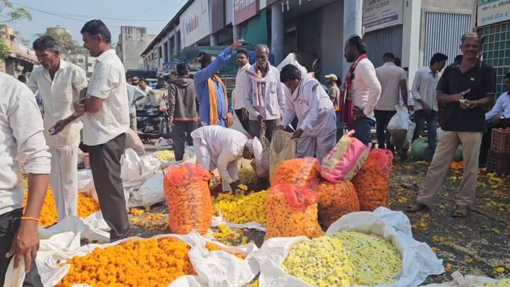 Nashik Latest News flowers rates have down on dasara, what are prices of flowers in Mumbai, Nashik, Nagar maharashtra news Nashik Flowers Rate : दसऱ्या आधीच झेंडूचा भाव कोसळला! उत्पादकांच्या पदरी निराशा, मुंबई, नाशिक, नगरला फुलांचे दर काय? 