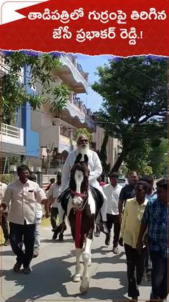 తాడిపత్రిలో గుర్రంపై తిరిగిన జేసీ ప్రభాకర్ రెడ్డి.!