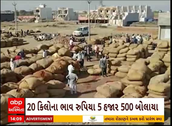 Rajkot: રાજકોટ ગોંડલના સિઝનમાં સૌપ્રથમ વખત મરચાની આવક શરુ જૂઓ કેટલા ભાવ બોલાયા