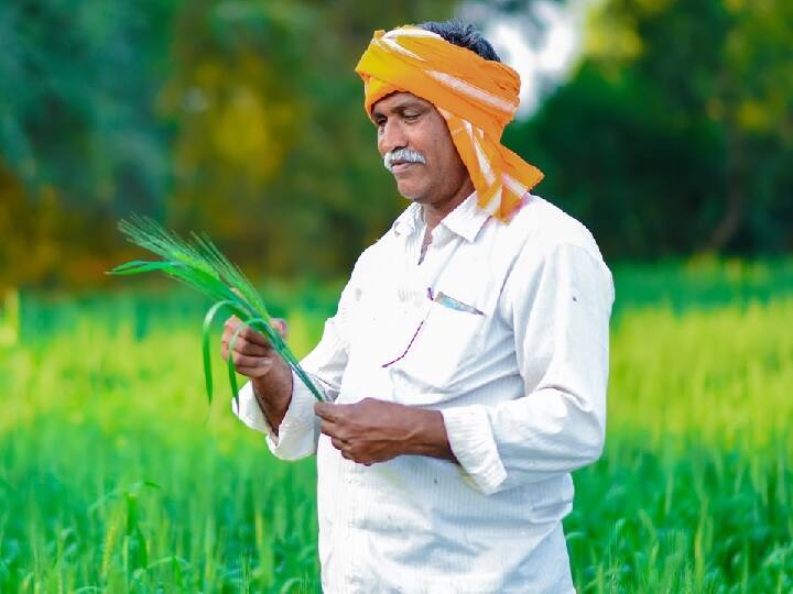 Pradhan Mantri Fasal Bima Yojana Modi govt planning to expand coverage of crop insurance scheme PMFBY Portal: तालाब, ट्रैक्टर, मवेशियों पर भी फसल बीमा का मिलेगा लाभ, किसानों को ये तोहफा देने की तैयारी में मोदी सरकार